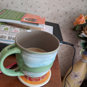 Meet your Posher, Sue